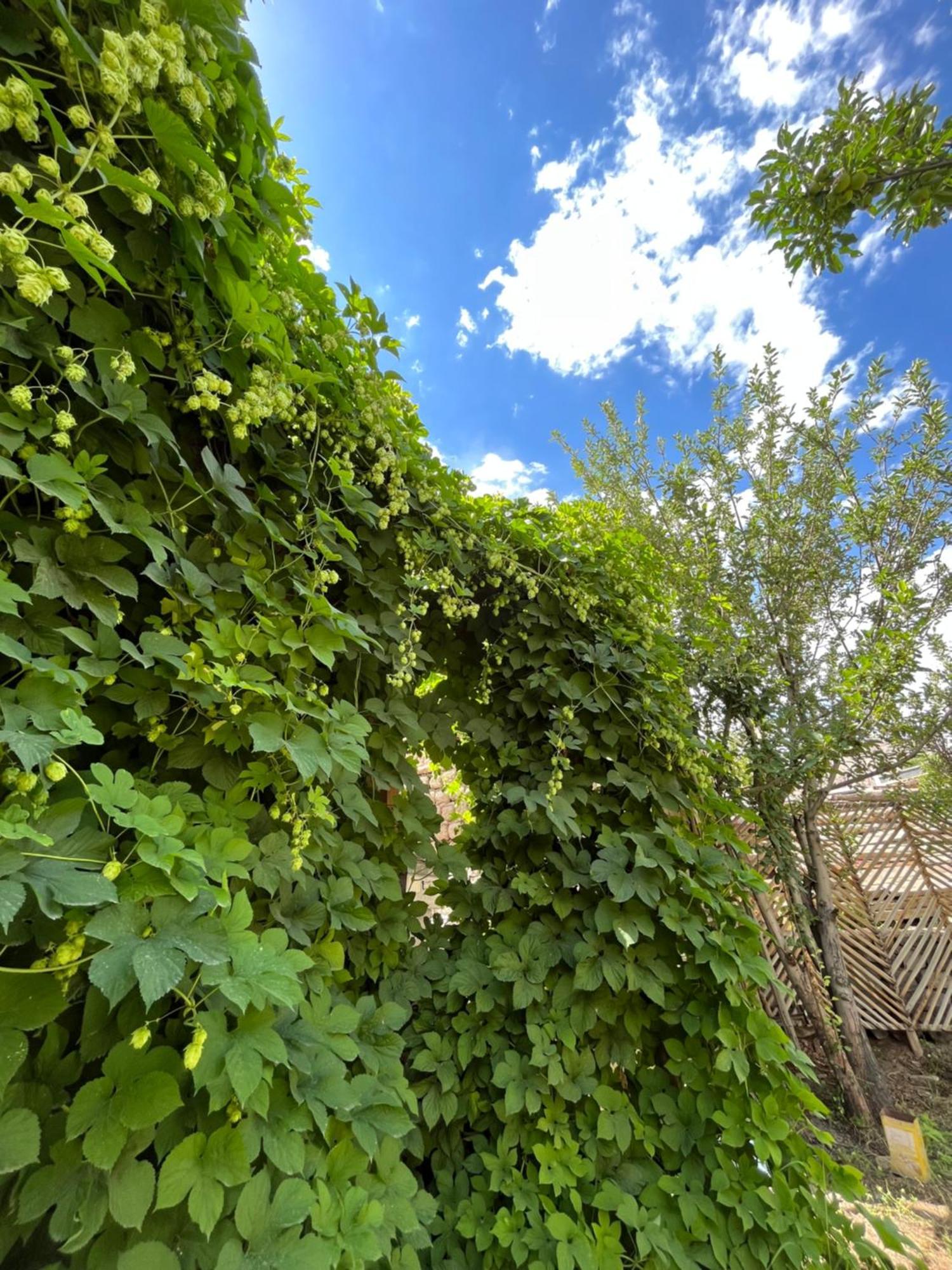 Hotel Chakzot Garden House Leh Zewnętrze zdjęcie