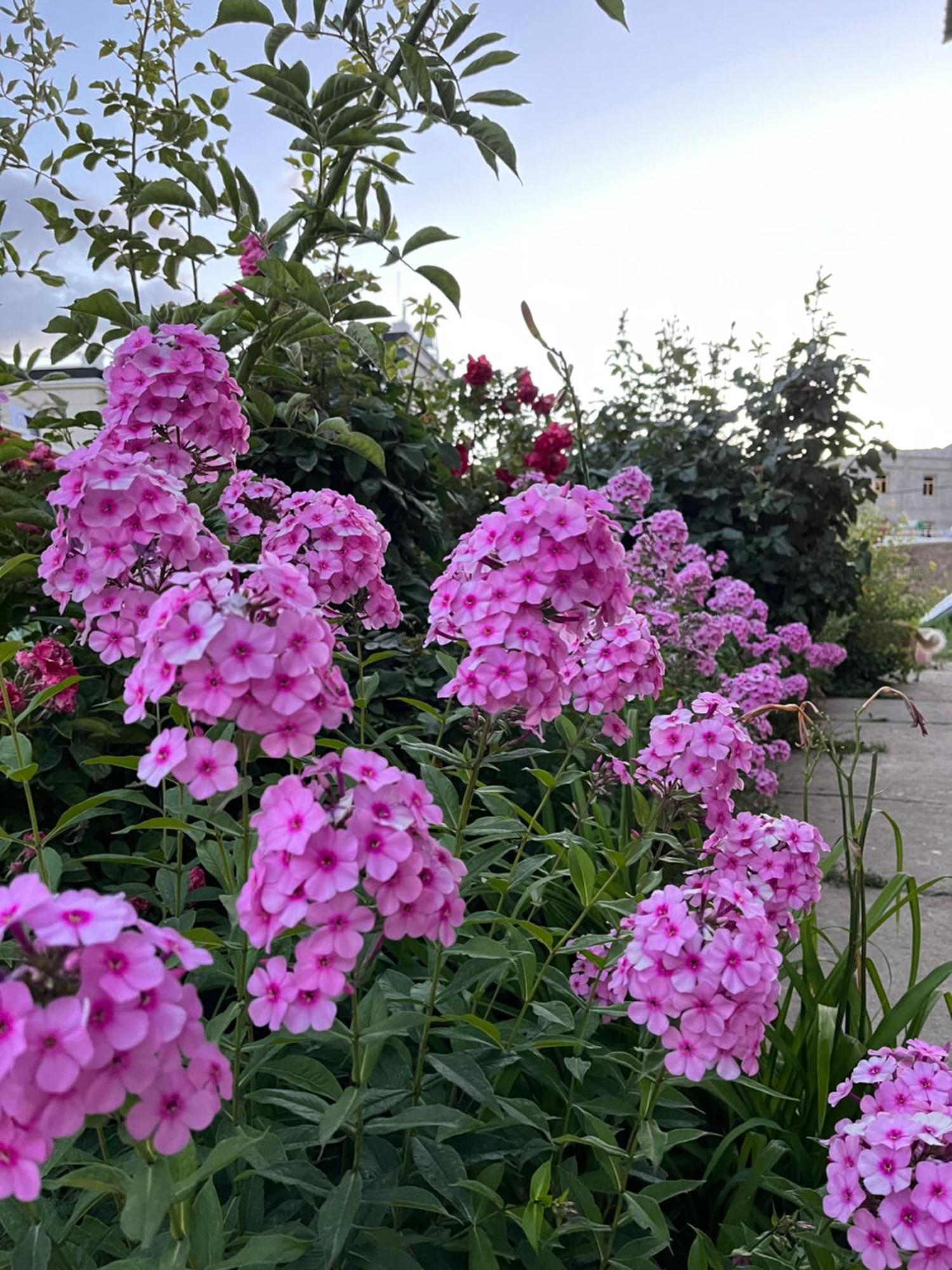 Hotel Chakzot Garden House Leh Zewnętrze zdjęcie