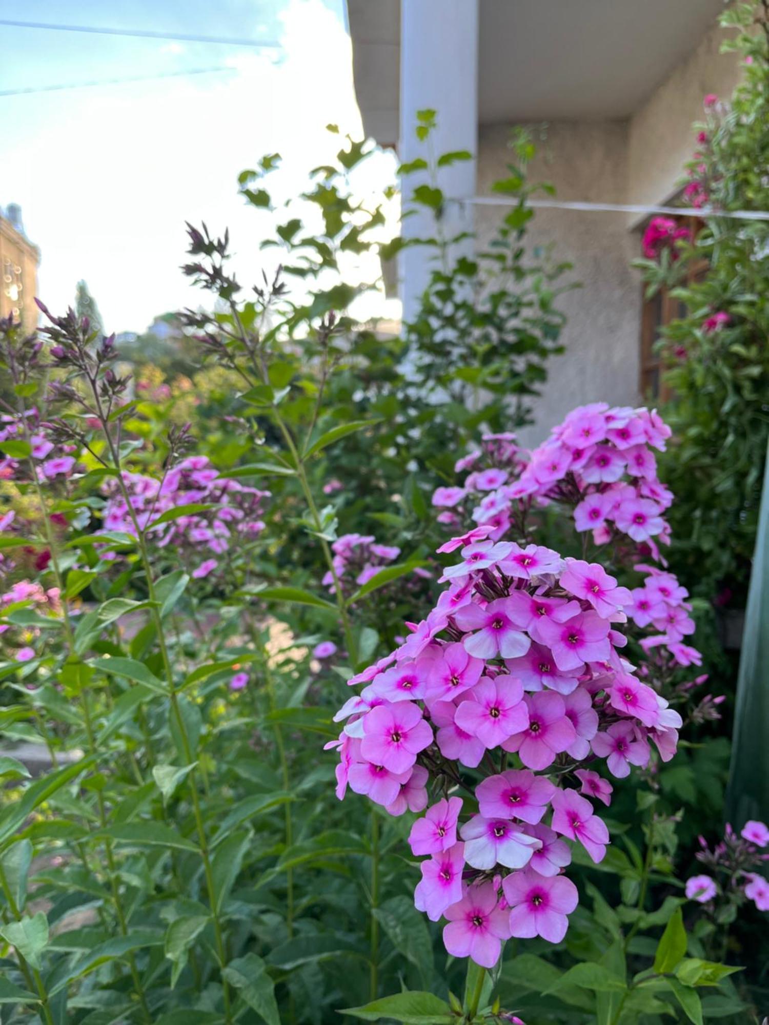 Hotel Chakzot Garden House Leh Zewnętrze zdjęcie